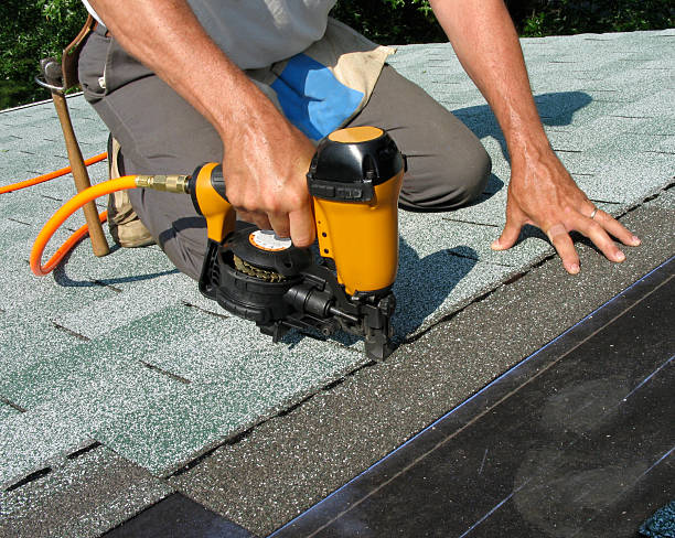 Best Storm Damage Roof Repair  in Wilder, KY
