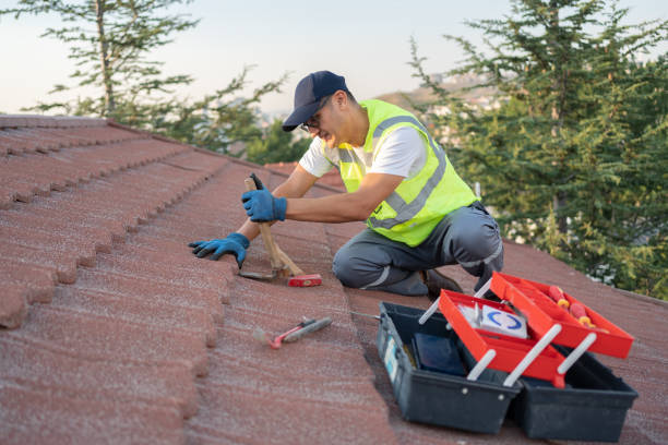 Best Storm Damage Roof Repair  in Wilder, KY