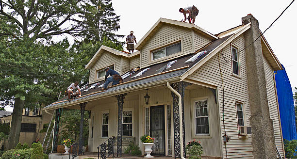 Roof Gutter Cleaning in Wilder, KY